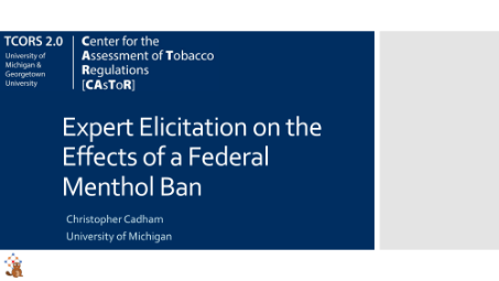Thumbnail for Expert Elicitation on the
Effects of a Federal
Menthol Ban poster