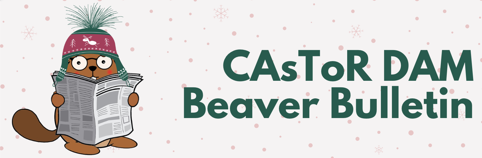 Header of CAsToR-DAM Beaver Bulletin