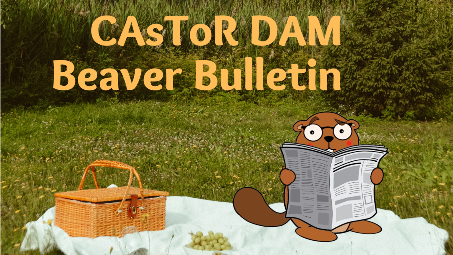 Header of CAsToR-DAM Beaver Bulletin