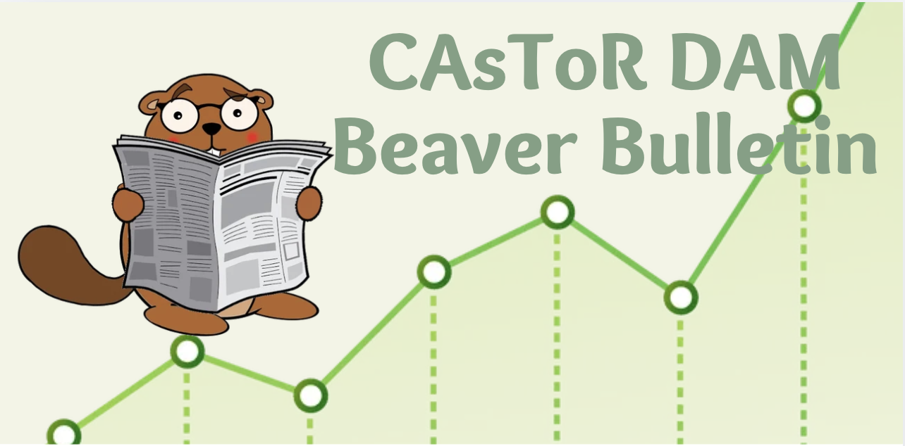 Header of CAsToR-DAM Beaver Bulletin